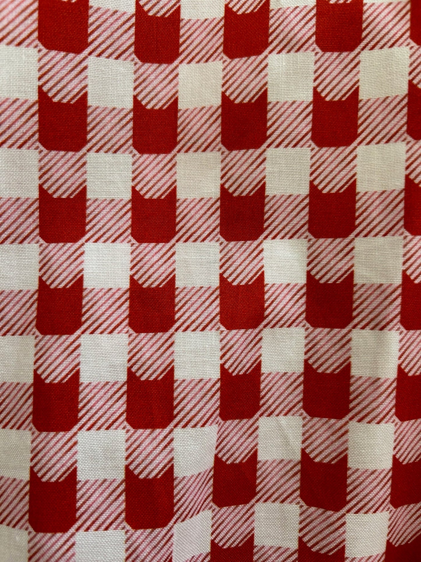 Red Check Kitties Skater Skirt