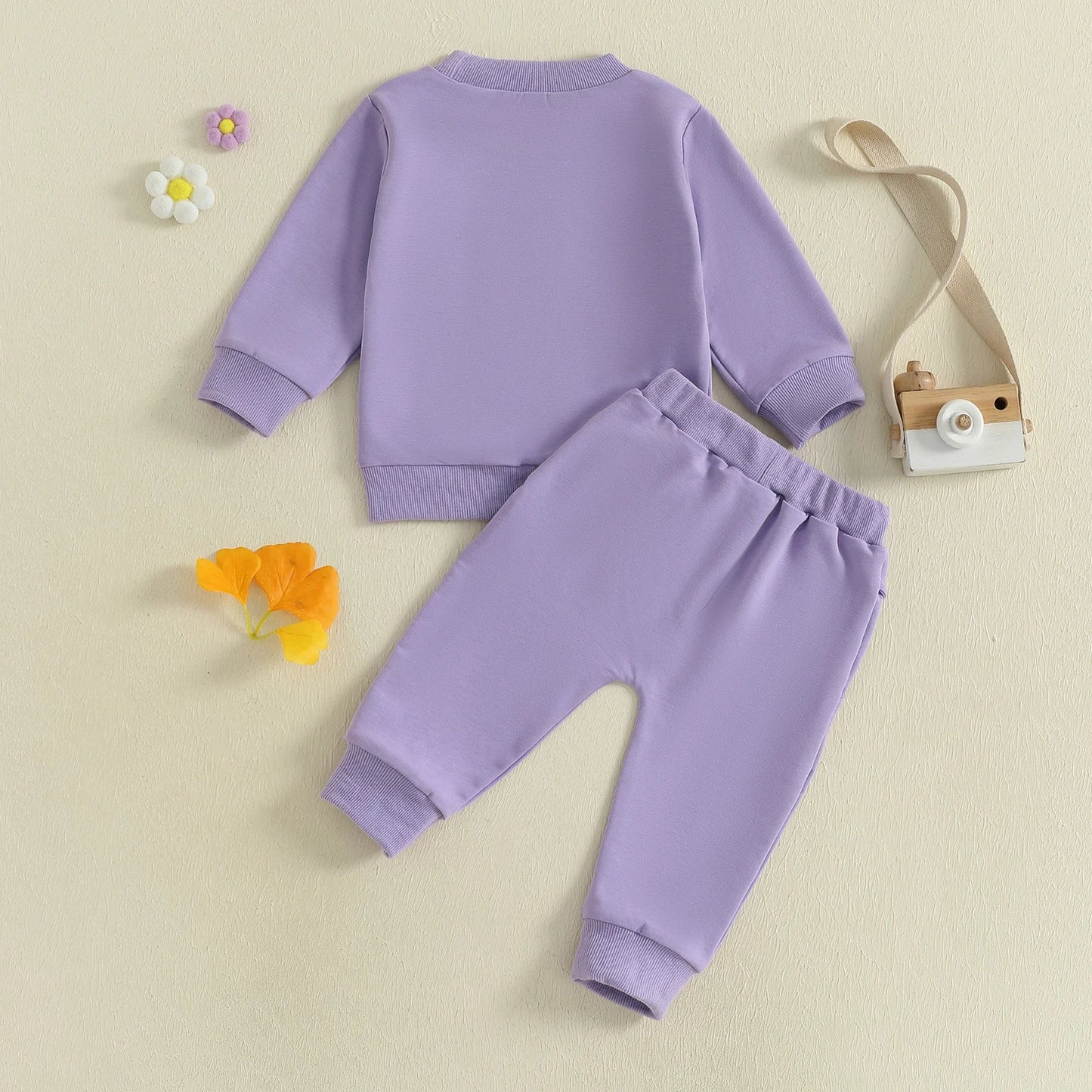 Baby Toddler Girls 2Pcs Toddler Hood Outfit Letters Print Long Sleeve Crew Neck Top with Elastic Waist Pants Fall Clothes Jogger Set