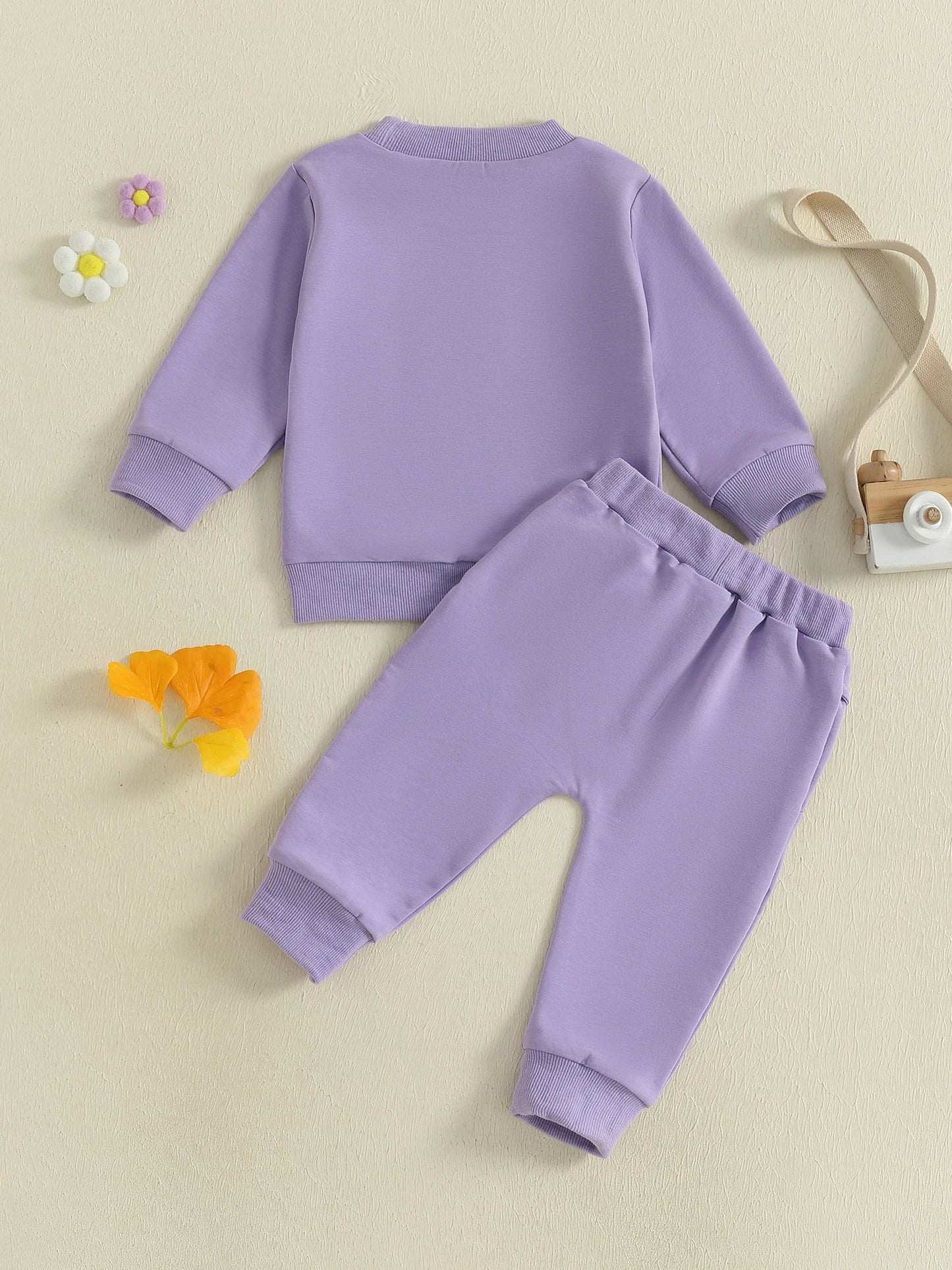 Baby Toddler Girls 2Pcs Toddler Hood Outfit Letters Print Long Sleeve Crew Neck Top with Elastic Waist Pants Fall Clothes Jogger Set